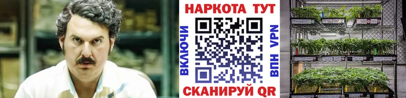 Наркошоп купить Alpha PVP КОКАИН ГАШИШ Меф мяу мяу LSD-25 Бошки Шишки Ильский