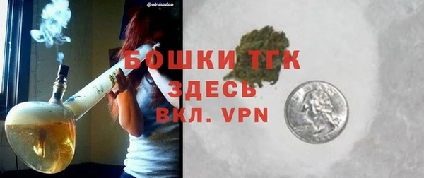 Альфа ПВП Пересвет