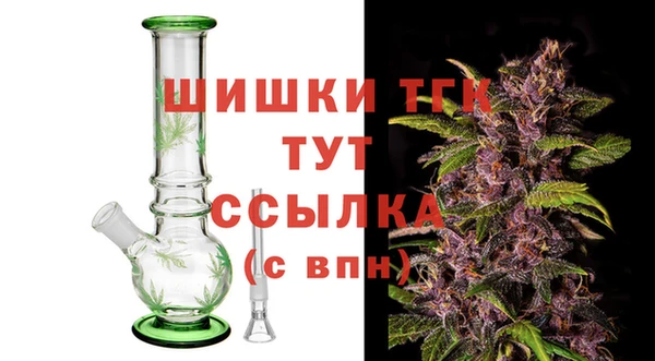Альфа ПВП Пересвет